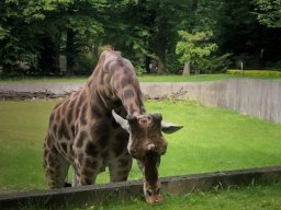 355488740_725832456011372_3699713728476847404_n